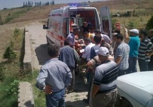 Yeşilyurt ta ayı paniği