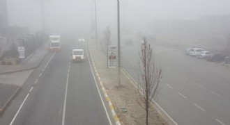 Erzincan'da yoğun sis