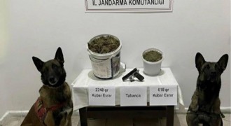 Jandarmadan uyuşturucu operasyonu