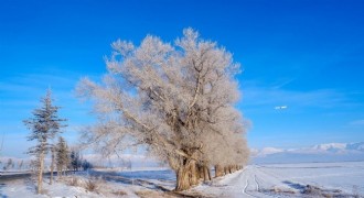 Soğuk rekoru Göle'deydi